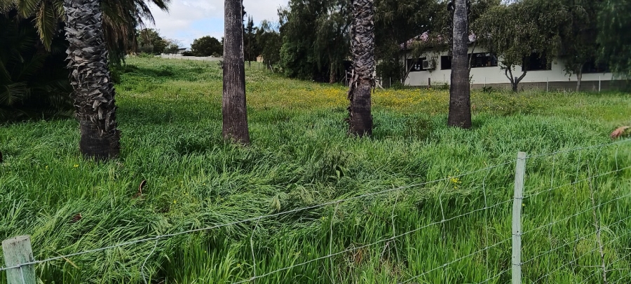 0 Bedroom Property for Sale in Hartebeesfontein Western Cape